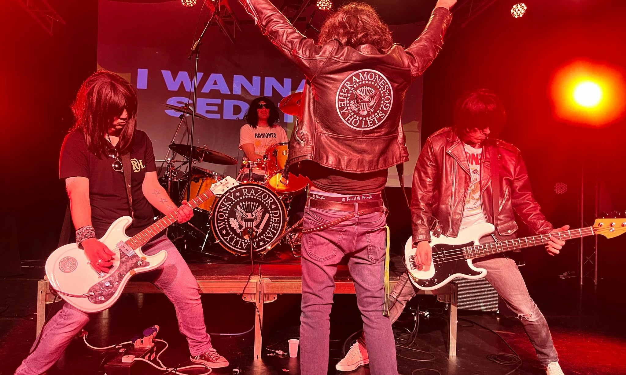 I Wanna Be Sedated + New York City Cops (Ramones + The Strokes Tributes)