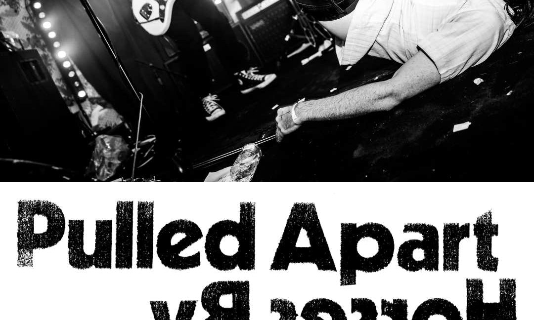 Pulled Apart By Horses, Cabin, Swamp, Test Plan