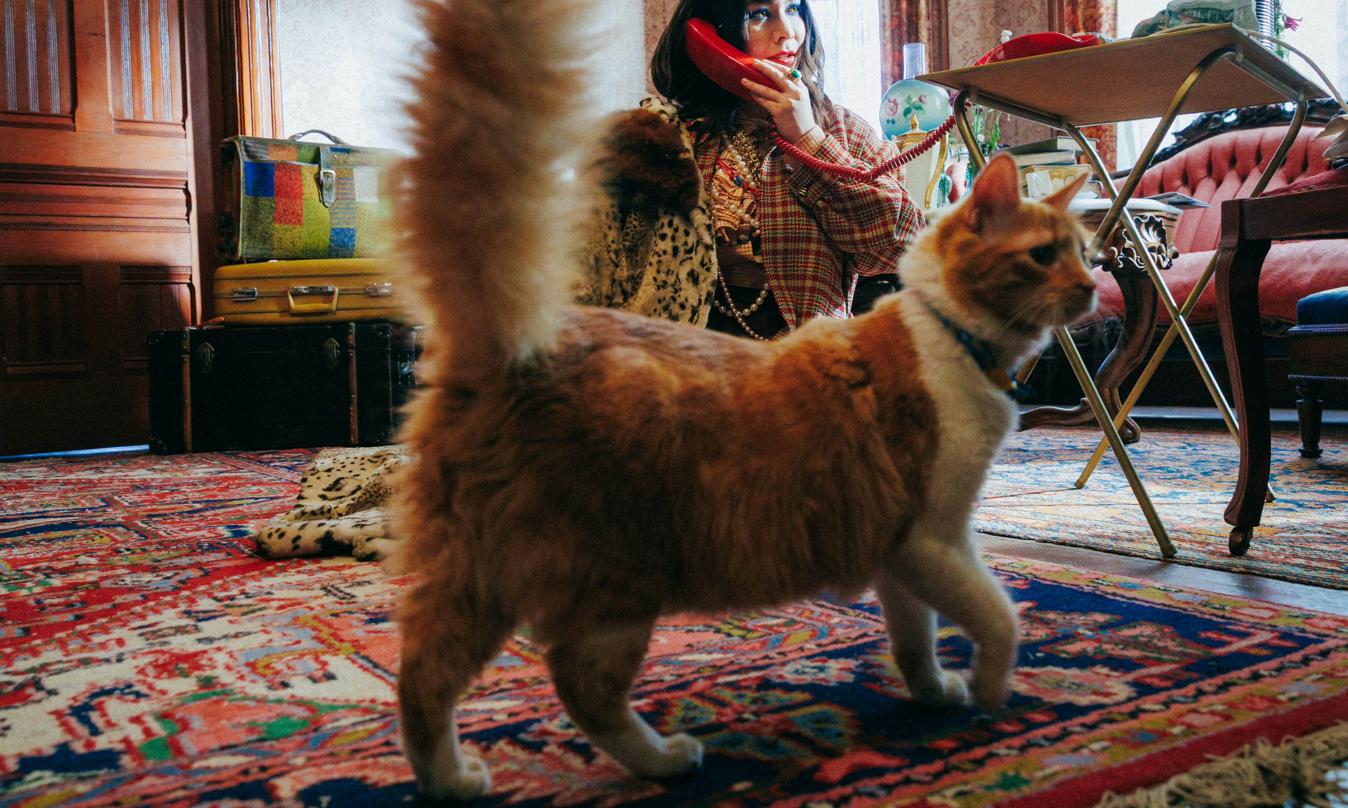 Mitski: Live Performance