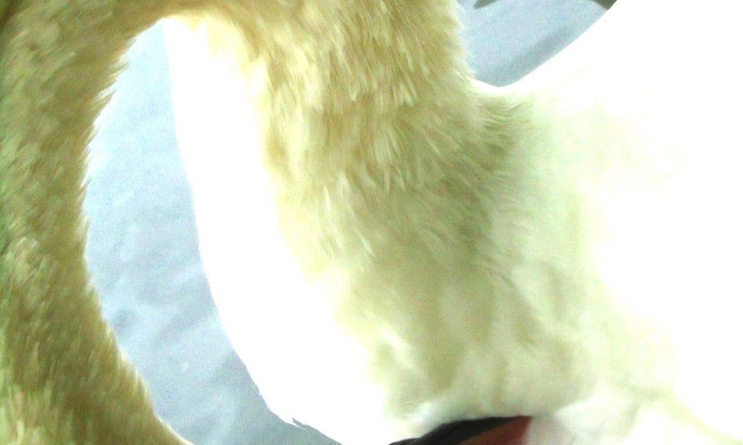 Magda (1999) w/ Holly Head & All Maudra