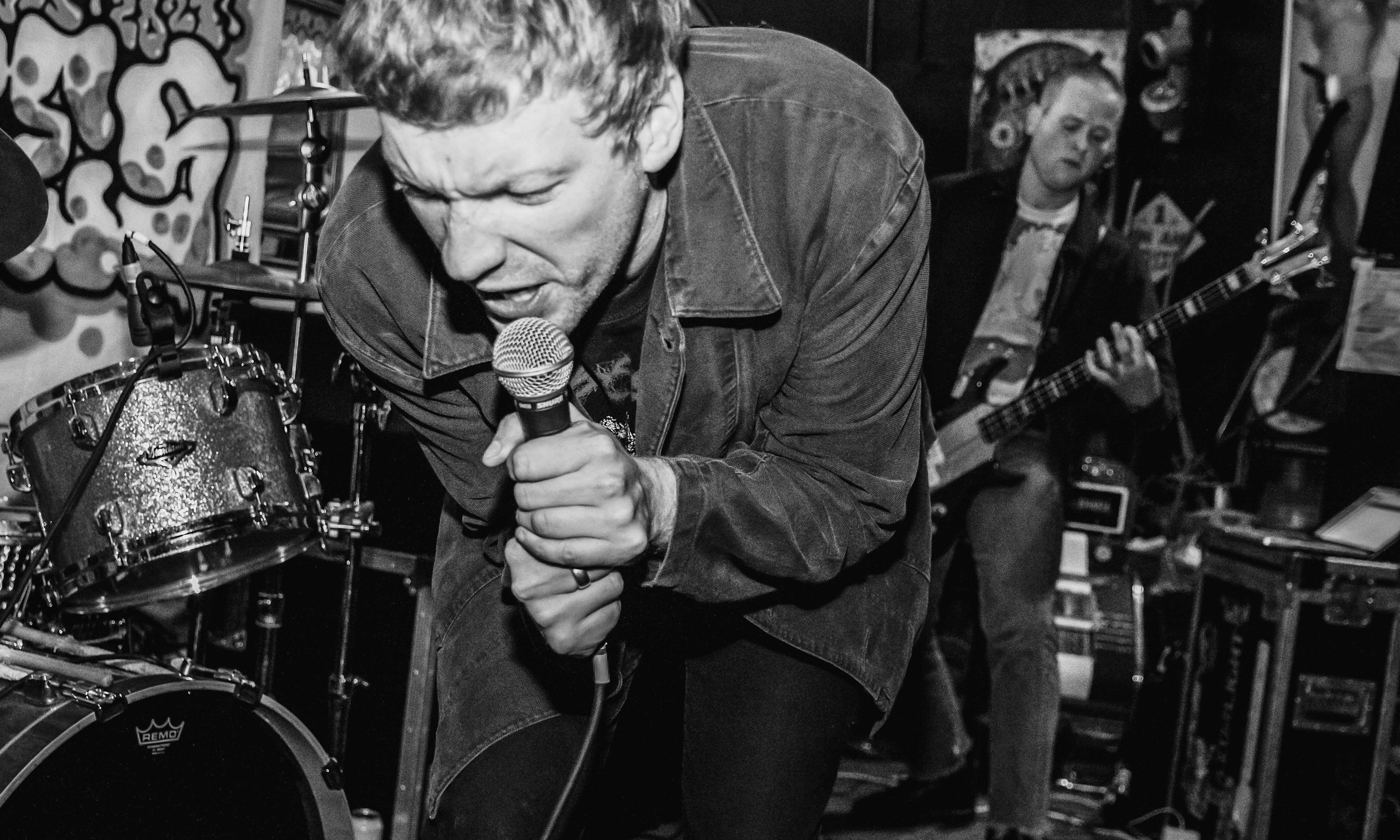 Bad Breeding + KLONNS + Zenocide + The Easy Eight + Secrecy + more