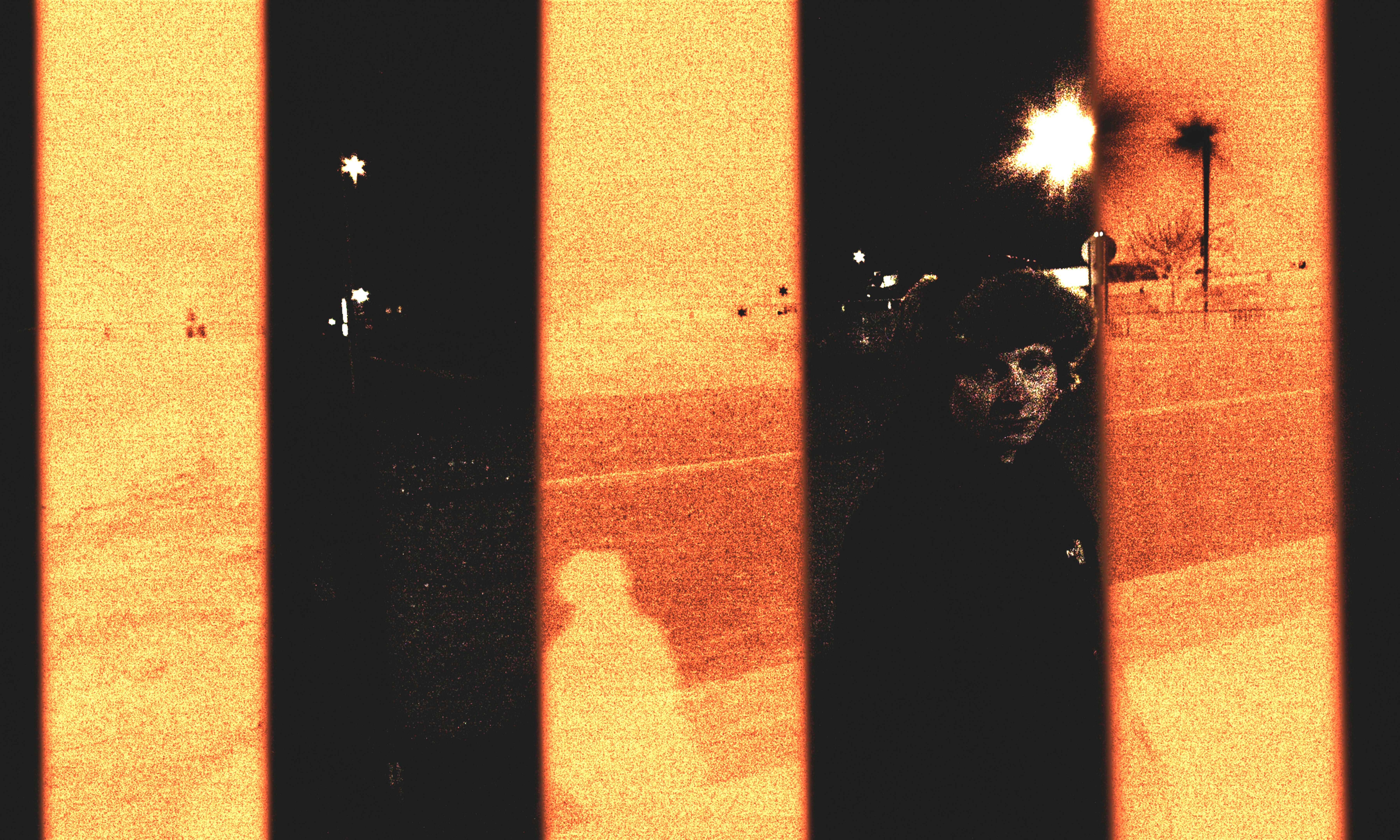 Rough Trade Recommends: wing! + Blossom Caldarone + Lost Lyra