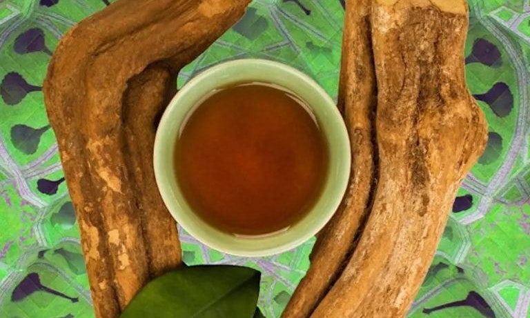 The Science of DMT & Ayahuasca