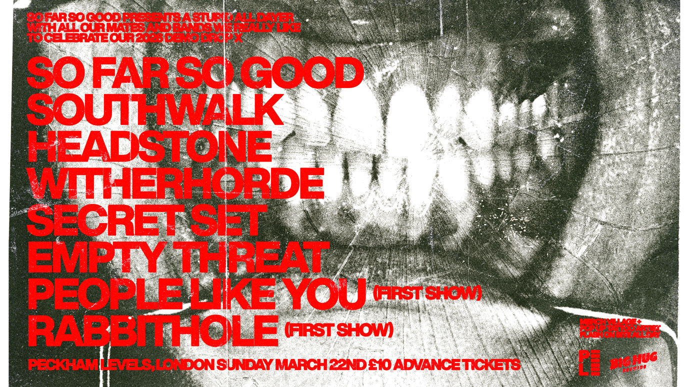 SO FAR SO GOOD PRESENTS A STUPID ALL DAYER WITH ALL OF OUR MATES AND BANDS WE REALLY LIKE TO CELEBRATE OUR 2026 DEMO DROP X