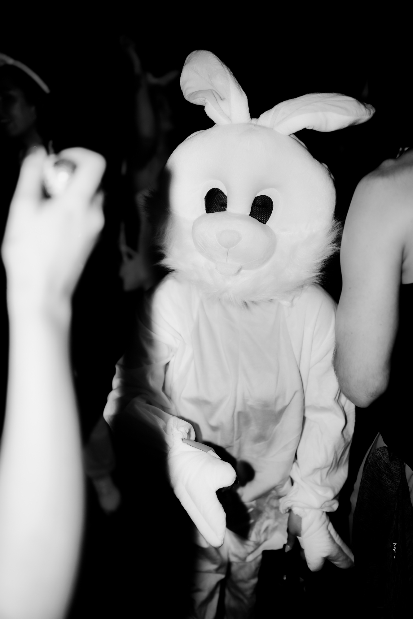 Don't F**k with Disco - Easter special… in a BIG FAT WAREHOUSE (NO EGG, NO ENTRY)