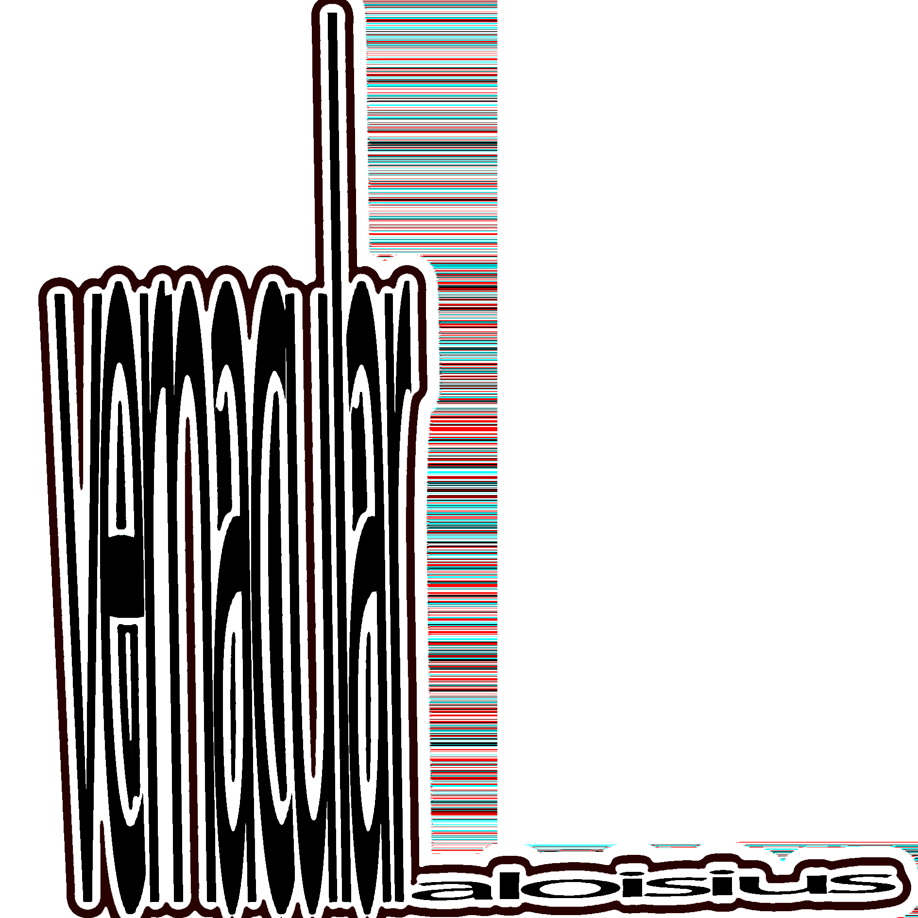 'vernacular' by aloisius - release show