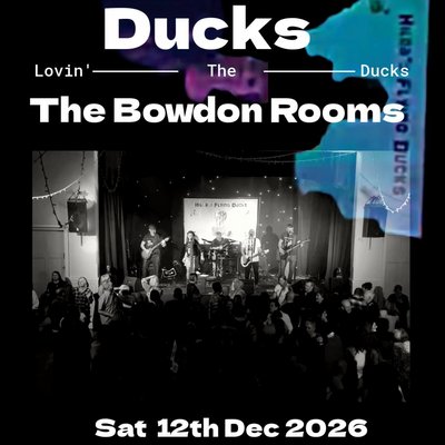 Hilda's Flying Ducks